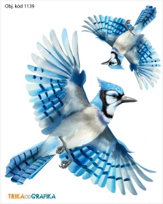 Pták – nažehlovačka