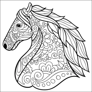 KŮŇ zentangle I. / 20x20 cm