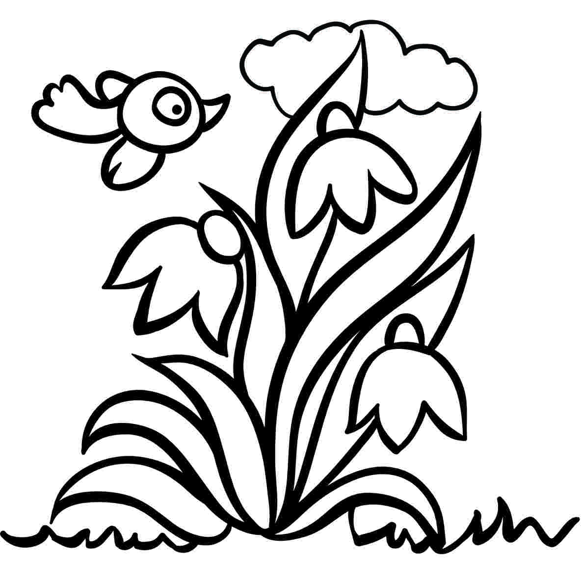 Bledule - Tričko s motivem