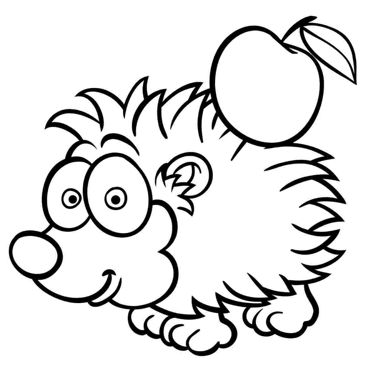 Ježek - Tričko s motivem