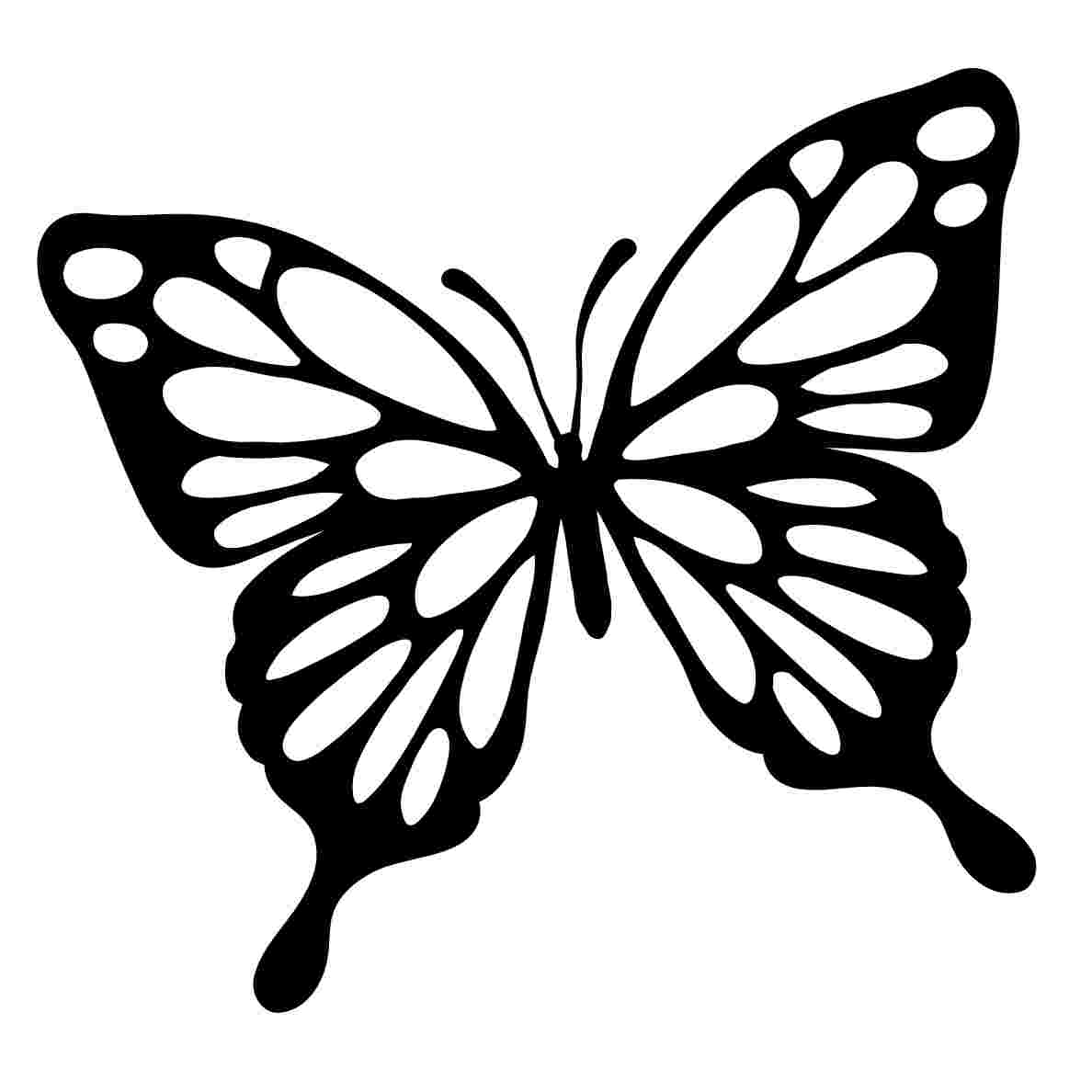 Motýlek - Tričko s motivem